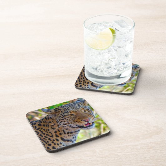 Dessous-de-verre Leopard tacheté (Côté Droit)