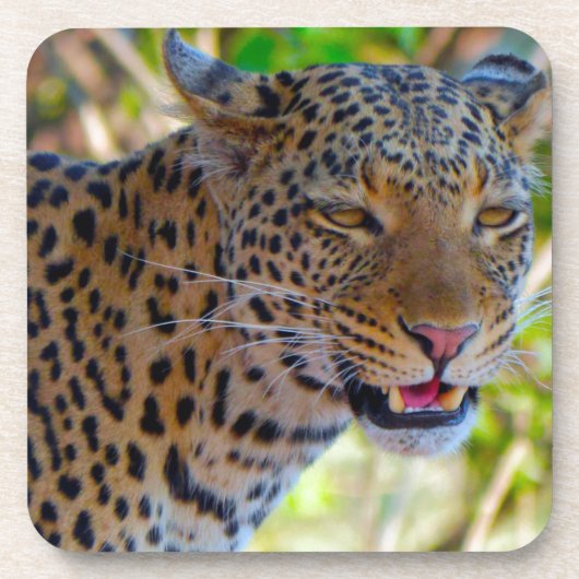 Dessous-de-verre Leopard tacheté (Devant)