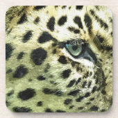 DESSOUS-DE-VERRE LEOPARDS (Devant)
