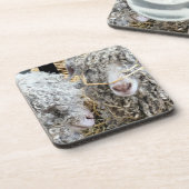 DESSOUS-DE-VERRE LES CHÈTES FRAÎCHES (Côté gauche)