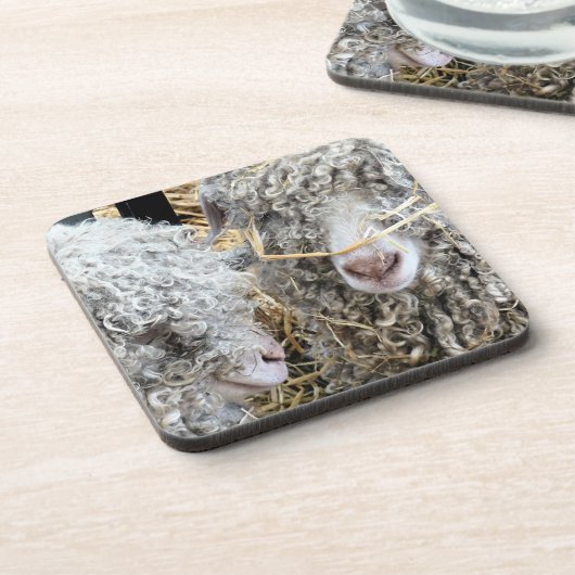 DESSOUS-DE-VERRE LES CHÈTES FRAÎCHES (Côté gauche)