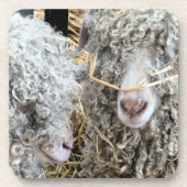 DESSOUS-DE-VERRE LES CHÈTES FRAÎCHES (Devant)