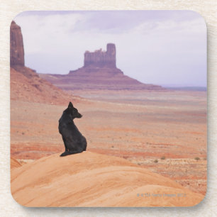 Dessous-de-verre Les Etats-Unis, Utah, vallée de monument, chien s