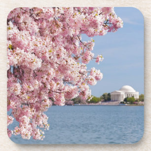 Dessous-de-verre Les Etats-Unis, Washington DC, cerisier