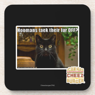 Dessous-de-verre Les femmes de chambre s'arrachent la fourrure ?