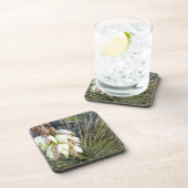 Dessous-de-verre Les Fleurs De Yucca Dans Le Haut Missouri (Côté Droit)