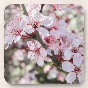Dessous-de-verre Les Fleurs Roses Fleurs Rouges.