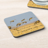 Dessous-de-verre Les grues de Sandhill atterrissent dans les champs (Côté gauche)