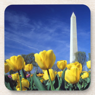 Dessous-de-verre Les monuments   Washington Monument au printemps