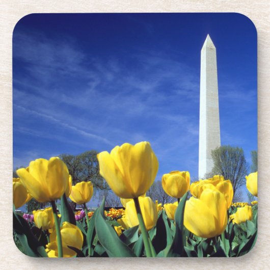Dessous-de-verre Les monuments | Washington Monument au printemps (Devant)