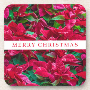 Dessous-de-verre Les plantes de Poinsettia voient les dessous de ve