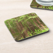 Dessous-de-verre Les séquoias au monument national de Muir Woods (Côté gauche)