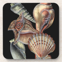 Les trésors de la mer