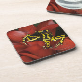 Dessous-de-verre Leucomelas de Dendrobates de grenouille de dard (Côté gauche)