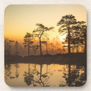Dessous-de-verre Levée de soleil bruyante dans la forêt - Arbres re