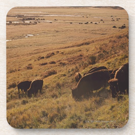 Dessous-de-verre Lever de soleil sur le bison (Devant)