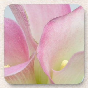 Dessous-de-verre Lilies d'arum roses