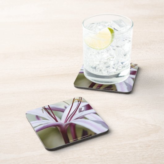 Dessous-de-verre Lily (Côté Droit)