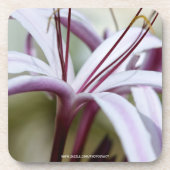 Dessous-de-verre Lily (Devant)