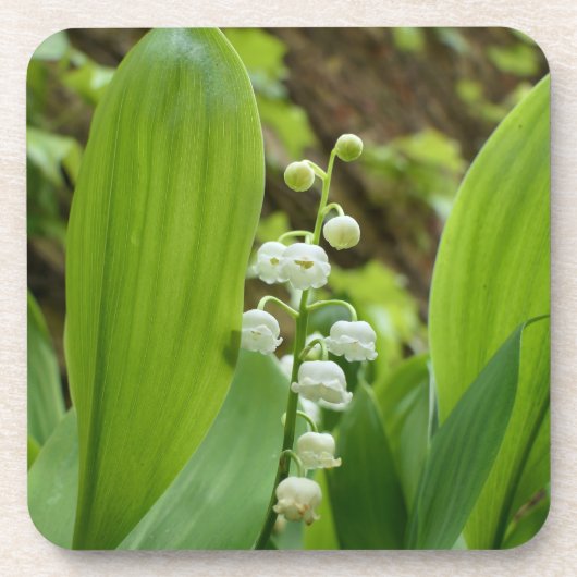 Dessous-de-verre Lily de la Vallée (Devant)
