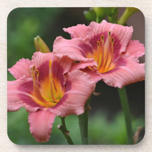 Dessous de verre Lily double (Devant)