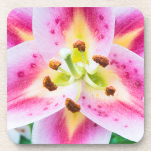 Dessous-de-verre Lily gros plan