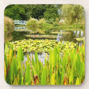 Dessous-de-verre Lily Pond Hard Plastic Coaster