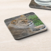 Dessous-de-verre Lion (Côté gauche)