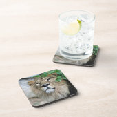 Dessous-de-verre Lion 002 (Côté Droit)