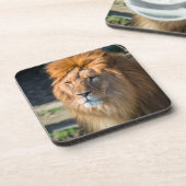 Dessous-de-verre Lion 013 (Côté gauche)