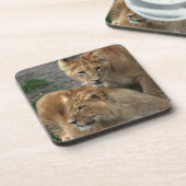 Dessous-de-verre Lion 033 (Côté gauche)