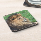 Dessous-de-verre Lion_2015_0701 (Côté gauche)