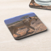 Dessous-de-verre Lion 3 (Côté gauche)