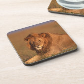 Dessous-de-verre Lion 8 (Côté gauche)