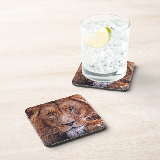 Dessous-de-verre Lion d'Afrique (Côté Droit)