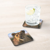 Dessous-de-verre Lion Lovers Femme Lioness (Côté Droit)