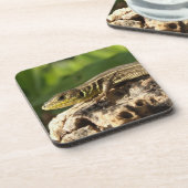 Dessous de verre Lizard (Côté gauche)