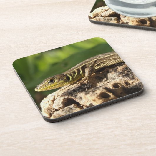 Dessous de verre Lizard (Côté gauche)