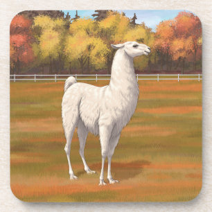 Dessous-de-verre Llama blanche dans les pâturages agricoles d'autom