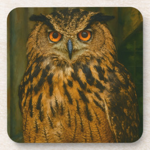 Dessous-de-verre L'observateur - Aigle eurasien à la lumière du boi