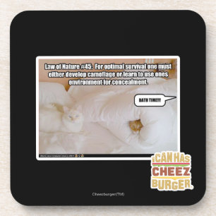 Dessous-de-verre Loi de la nature #45