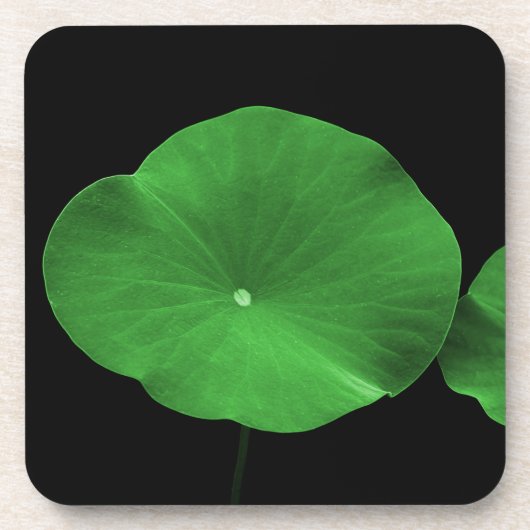 Dessous-de-verre Lotus Feuilles (Devant)