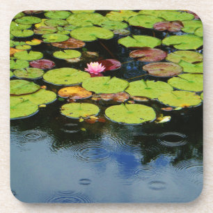 Dessous-de-verre Lotus rose en pluie