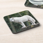 Dessous-de-verre Loup blanc sauvage (Côté gauche)