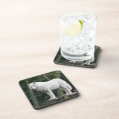 Dessous-de-verre Loup blanc sauvage (Côté Droit)