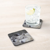 Dessous-de-verre Loups (lupus de Canus) de Yellowstone occidental. (Côté Droit)