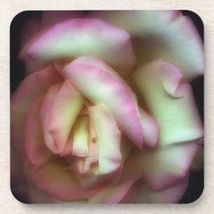 Dessous-de-verre <Love is a Rose> par Nathan Griffith