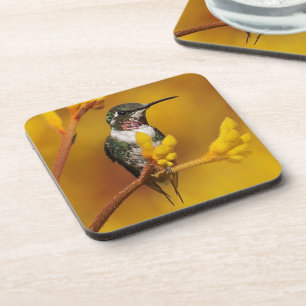 Dessous-de-verre Lueur d'or
