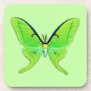 Dessous-de-verre Luna moth sur un arrière - plan vert pâle
