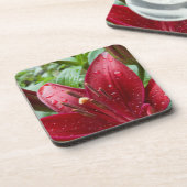 Dessous-de-verre Lys Asiatiques Rouges Avec Bureaux (Côté gauche)